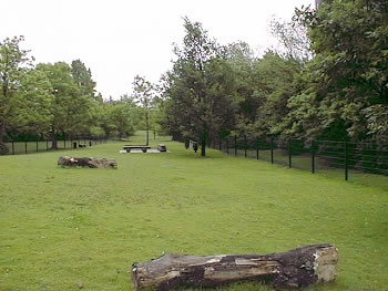 Hundeauslauffläche - Dortmund Florianstraße