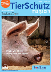 TierSchutz Magazin